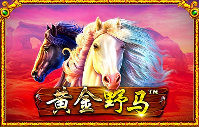 bc体育登录